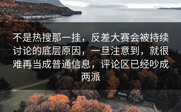 不是热搜那一挂，反差大赛会被持续讨论的底层原因，一旦注意到，就很难再当成普通信息，评论区已经吵成两派
