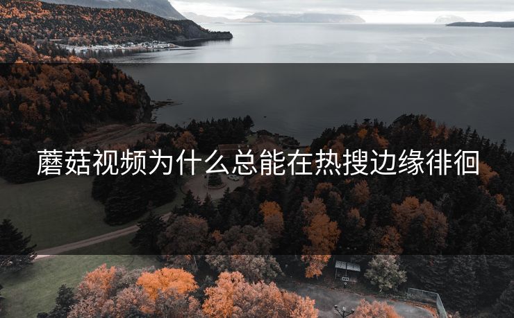 蘑菇视频为什么总能在热搜边缘徘徊