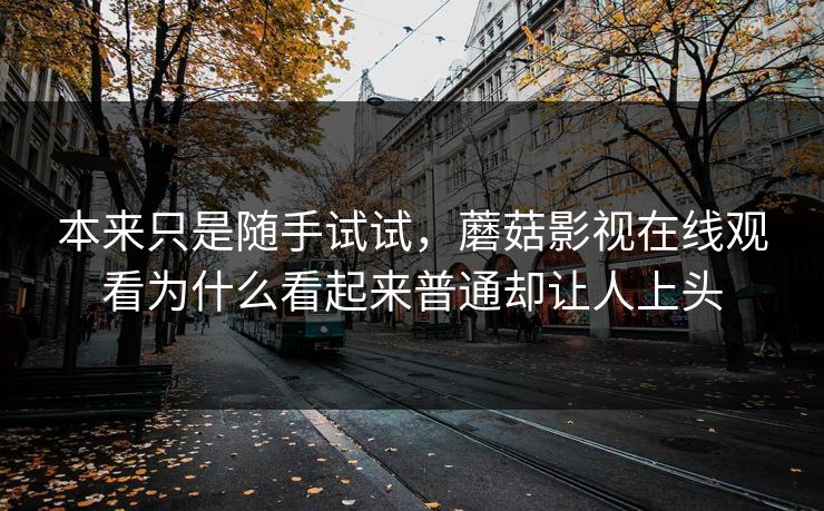 本来只是随手试试，蘑菇影视在线观看为什么看起来普通却让人上头