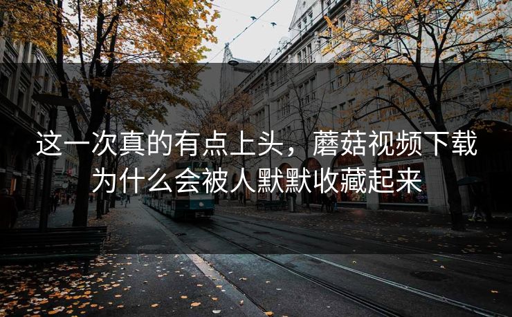 这一次真的有点上头，蘑菇视频下载为什么会被人默默收藏起来