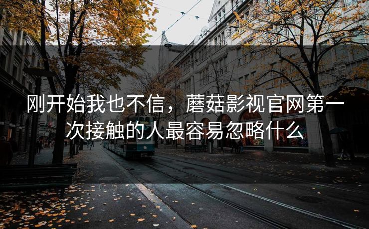刚开始我也不信，蘑菇影视官网第一次接触的人最容易忽略什么