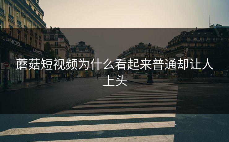 蘑菇短视频为什么看起来普通却让人上头