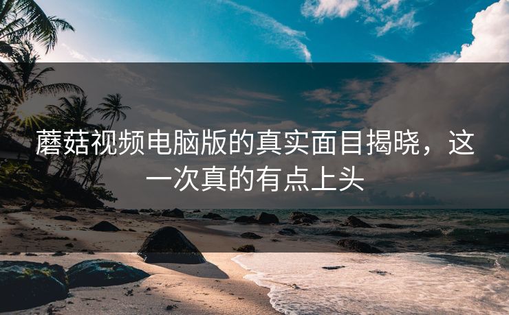 蘑菇视频电脑版的真实面目揭晓，这一次真的有点上头