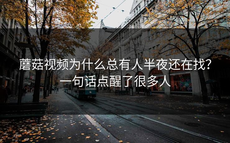 蘑菇视频为什么总有人半夜还在找？一句话点醒了很多人