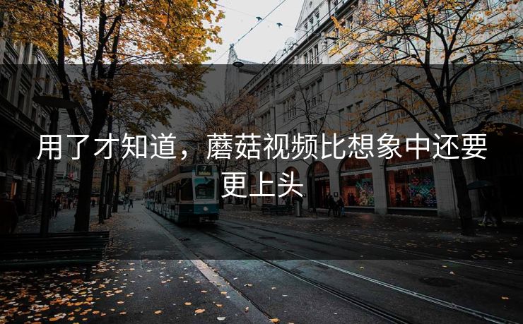 用了才知道，蘑菇视频比想象中还要更上头
