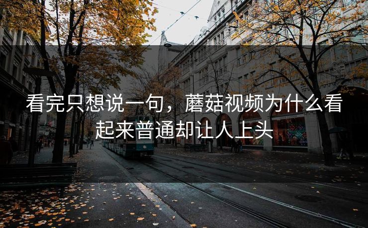 看完只想说一句，蘑菇视频为什么看起来普通却让人上头