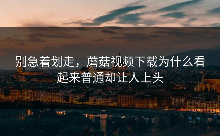 别急着划走，蘑菇视频下载为什么看起来普通却让人上头