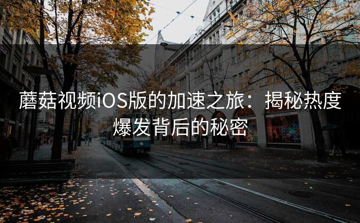 蘑菇视频iOS版的加速之旅：揭秘热度爆发背后的秘密
