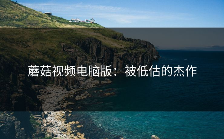 蘑菇视频电脑版：被低估的杰作
